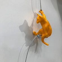 Ancizar Marin Hanging Cat - Yellow