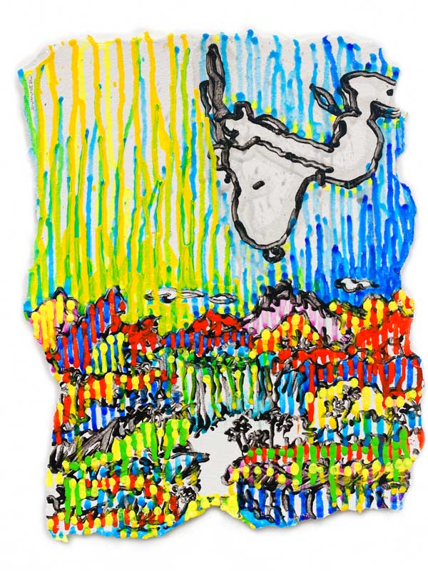 Tom Everhart