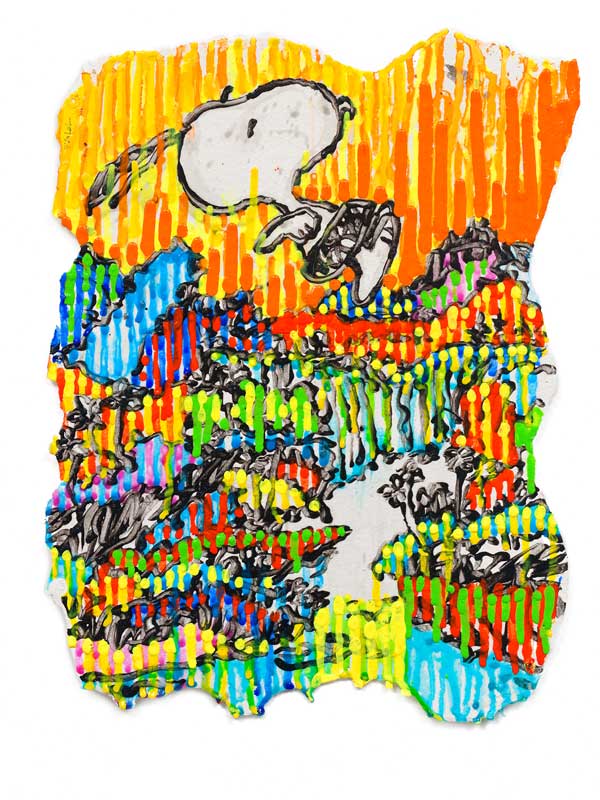 Tom Everhart 